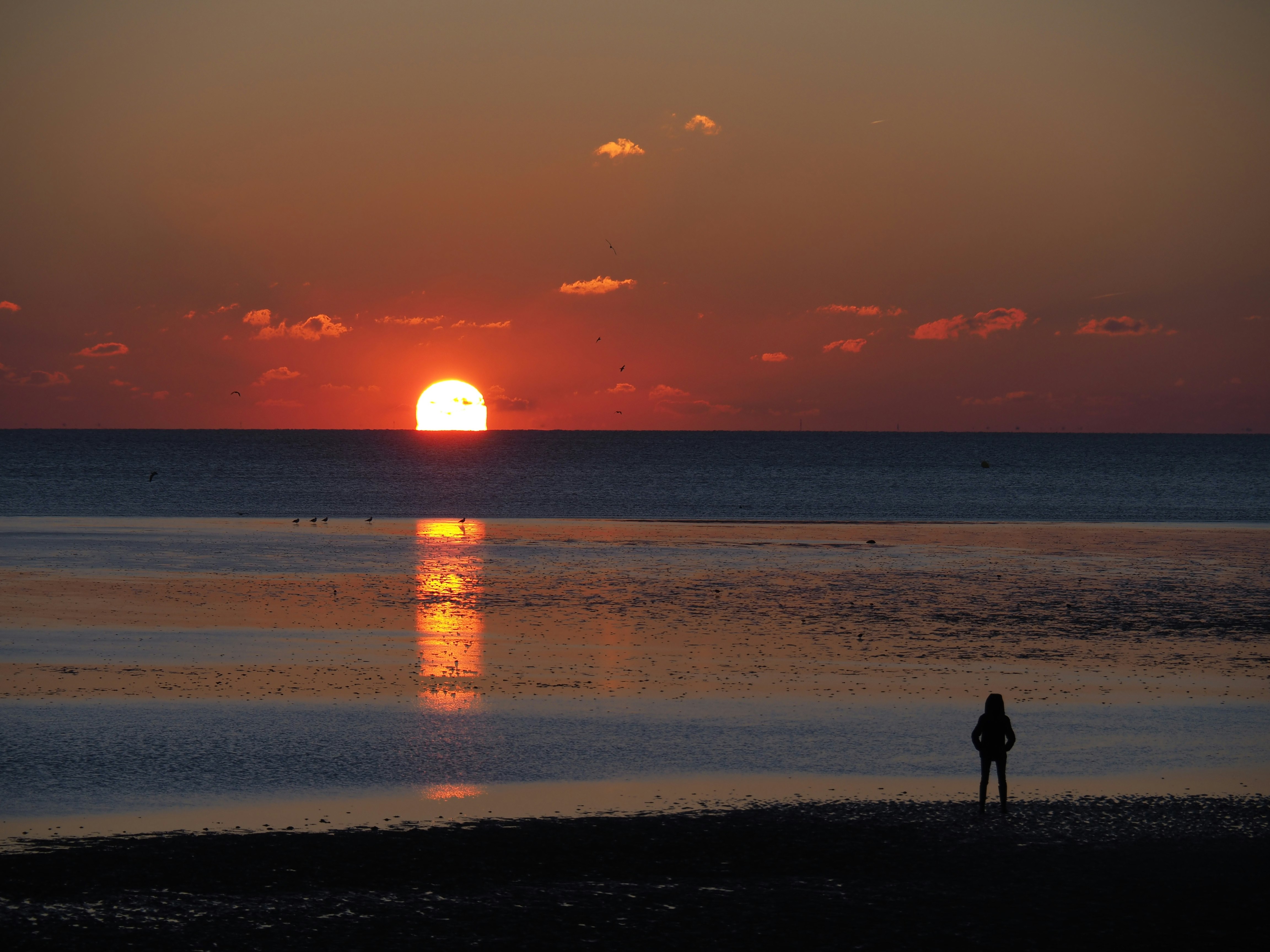 silhouette of person standing on beach during sunset